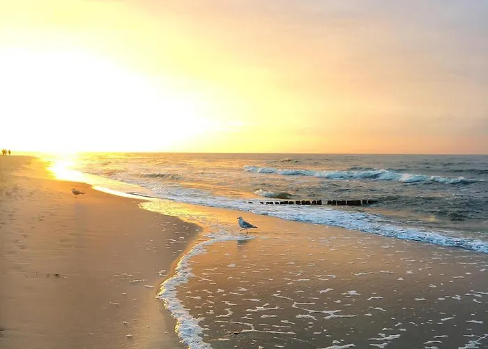 Nyaraló Ferienhaeuser Eurobaltyk *