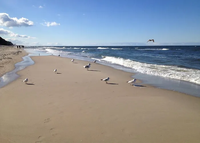 Nyaraló Ferienhaeuser Eurobaltyk *